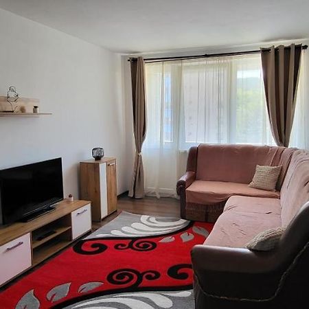 Apartament In Regim Hotelier Deva Extérieur photo