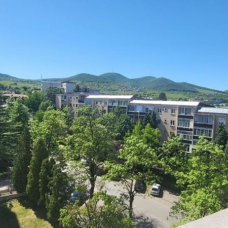 Apartament In Regim Hotelier Deva Extérieur photo