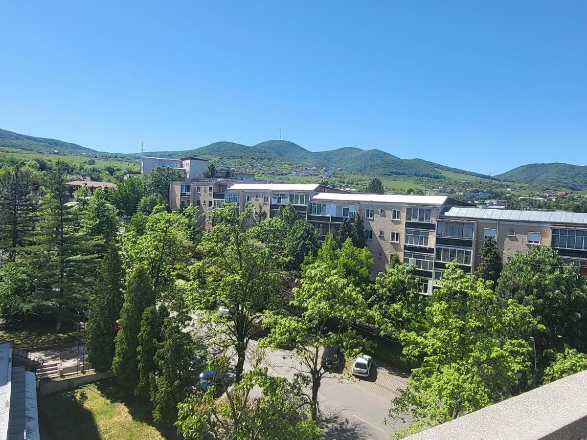 Apartament In Regim Hotelier Deva Extérieur photo